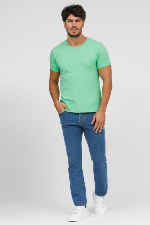 Camiseta Masculina Básica Gola Careca